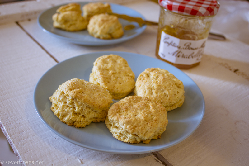 Easy Vegan Scones