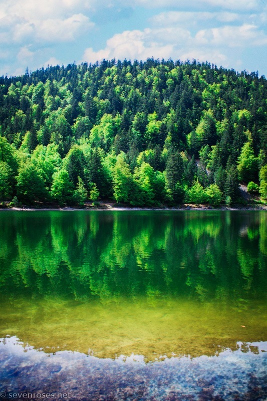 Lac des Corbeaux, La Bresse, Vosges