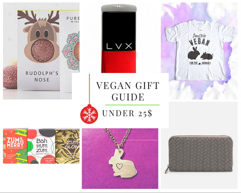 Vegan & Cruelty Free gift guide under 25$