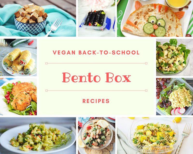 Epic Vegan Back to School recipes: BENTO BOX FILLERS