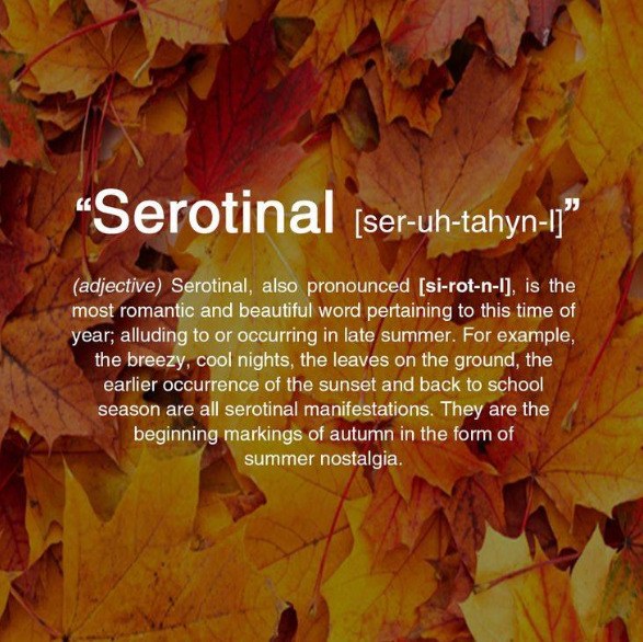 Serotinal