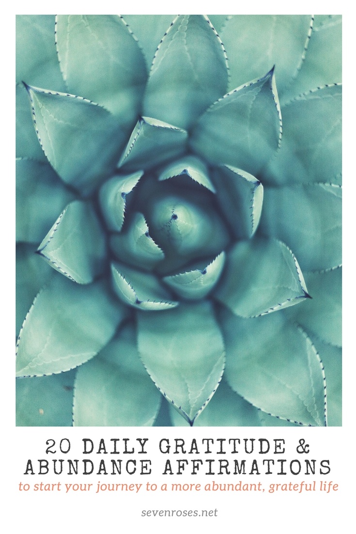 20 daily Gratitude and Abundance Affirmations