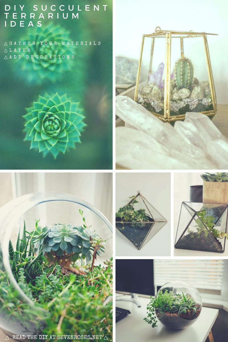 DIY Succulent Terrarium Ideas