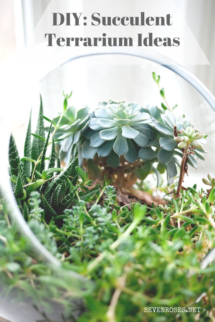 DIY Succulent Terrarium Ideas