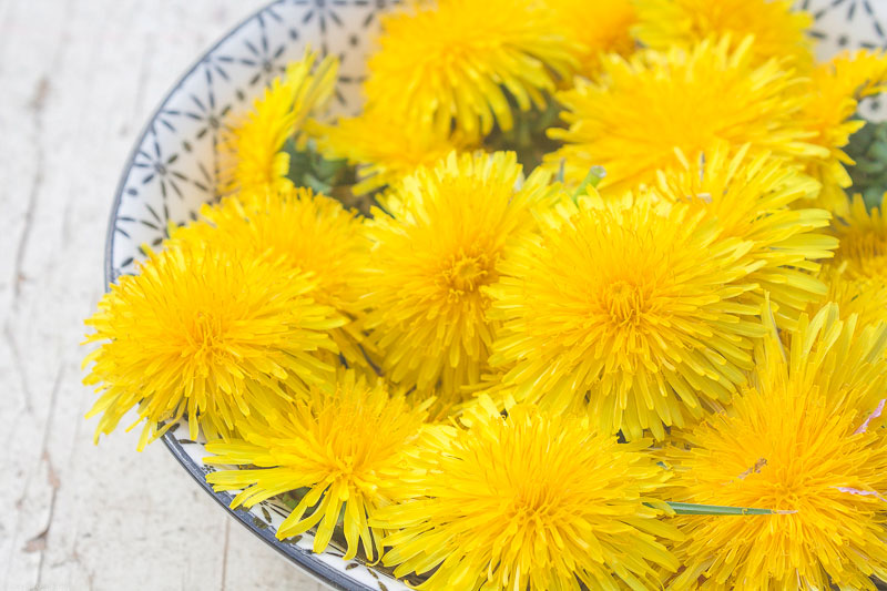 Honey made of Dandelions Wild Flowers ♥