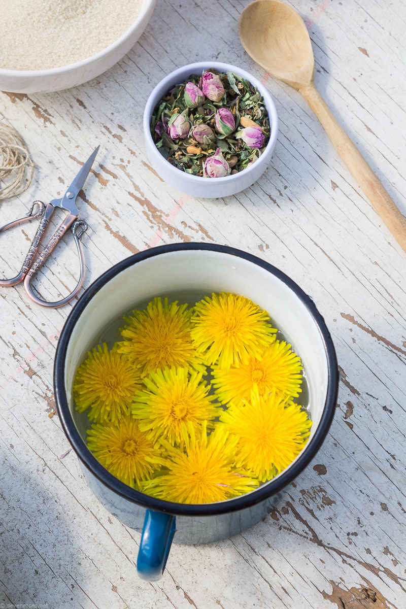 Dandelions