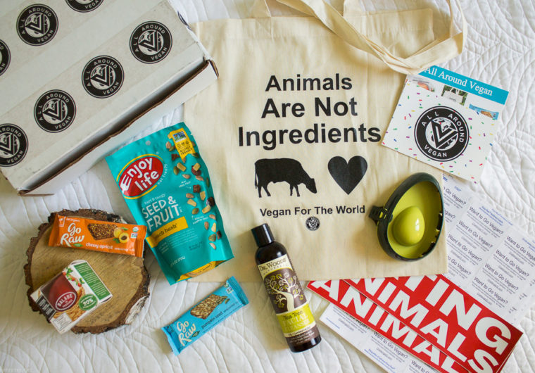 Vegan Box review