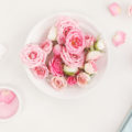 how to use rose water in your skincare routine