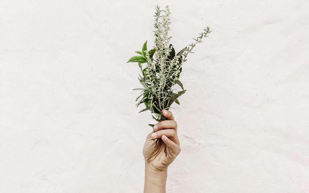 smells that make you feel happy: herbs