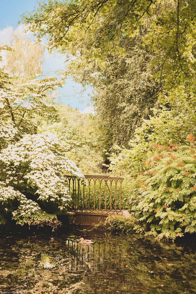 The ponds at le Jardin de Berchigranges