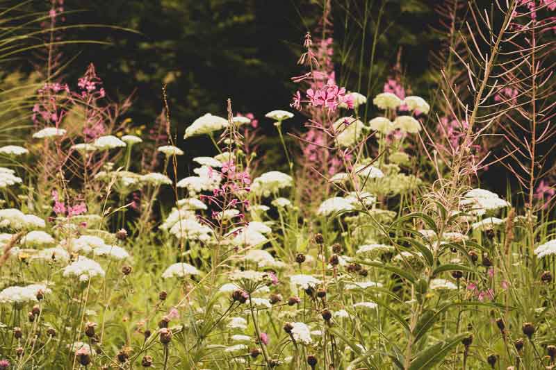 Jardin Bohèmien de Berchigranges