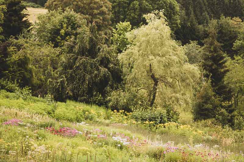 Jardin Bohèmien de Berchigranges