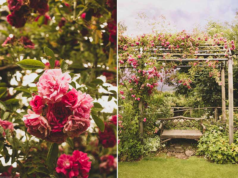 Jardin de Berchigranges - rose arch