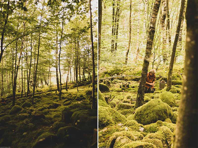 The Moss Garden at Jardin de Berchigranges