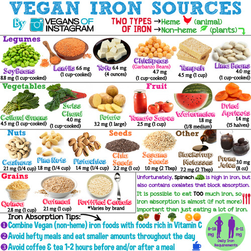 Vegan Iron Sources by Vegans of Instagram