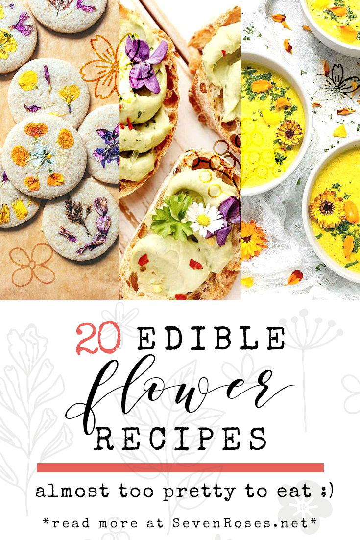 Edible Flowers, Pretty and Tasty - Sharon Palmer, The Plant