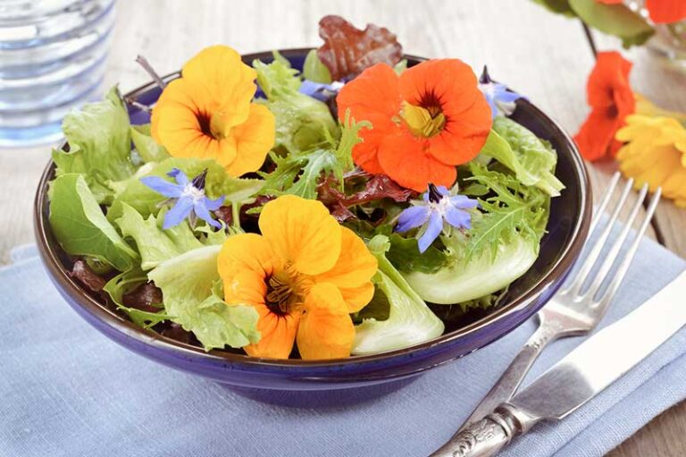 Flower power: 21 edible flower recipes - Seven Roses