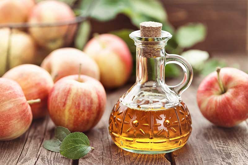 weight loss ingredients: apple cider vinegar