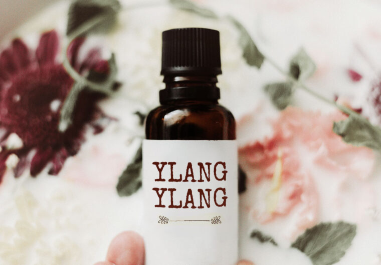 51 Ylang Ylang essential oil benefits & uses