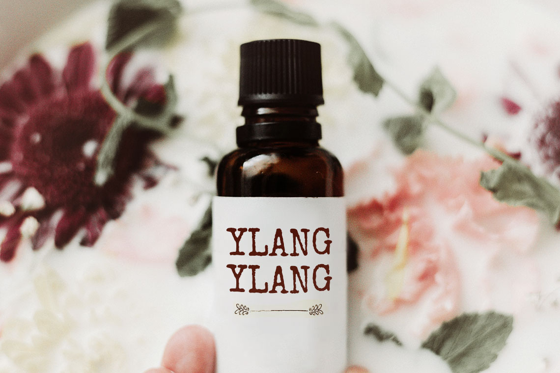 51 Ylang Ylang Essential Oil Benefits Uses The Complete Guide 51 Ylang Ylang Essential Oil Benefits Uses The Complete Guide