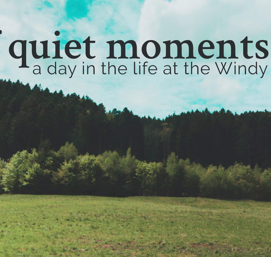 Of quiet moments - a day in the life at The Windy Burrow