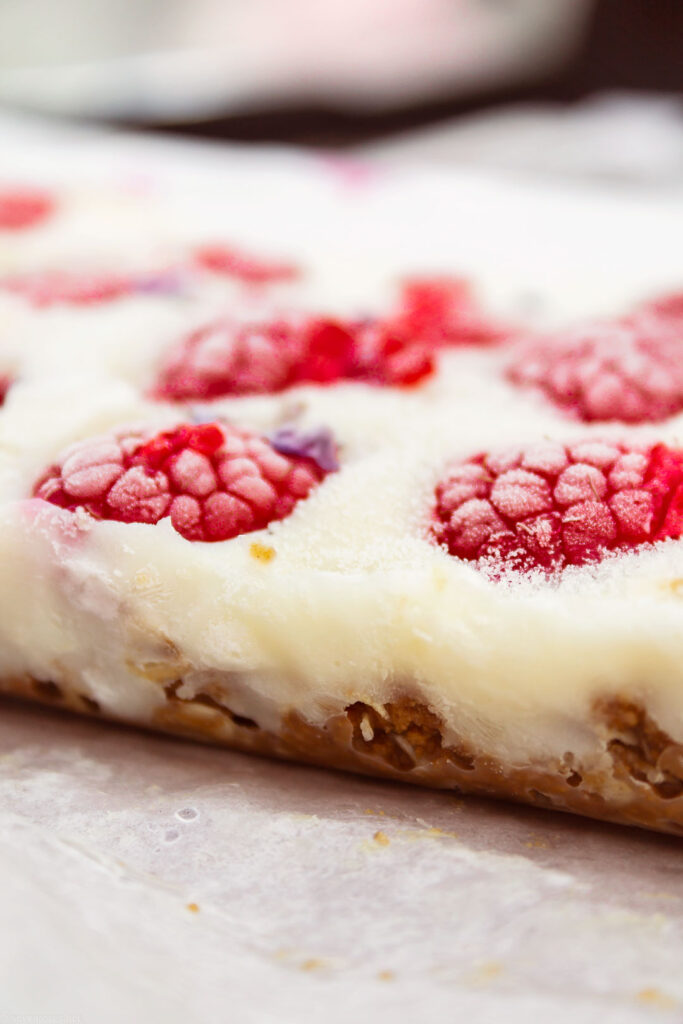 healthy Vegan frozen yogurt & raspberries bars
