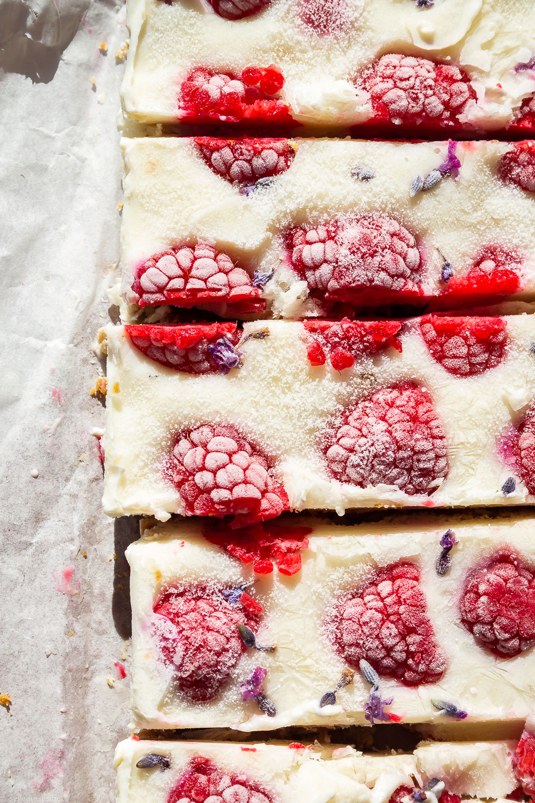 healthy Vegan frozen yogurt & raspberries bars